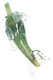 Bulk 7" silver-fumed shark hand pipe, green variant side profile showing dorsal and pectoral fins, color-change glass, studio right-side view.