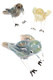 Wholesale silver-fumed color-changing bird glass pipe, 5.5" length, assorted blue and tan tones with clear legs and claws, trio layout on white.