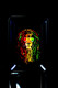 Wholesale small 7" × 5" metal rolling tray showing vivid Rasta-lion dreadlock print, straight-on product view against black backdrop.