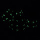 Dark-room macro highlighting UV-reactive cactus spine dots on the Peyote Flower mini rig—eye-catching glow effect for case merchandising.