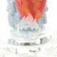 Alternate close view emphasizing circular windows and red nose cone inside clear glass; head-shop display accessory photographed at angle.