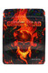 Head-shop 1/8 oz skull mylar bag, “Ghost Head” flaming skull on black, 3.5 g capacity pouch, straight front product photo. Head-shop 1/8 oz skull mylar bag, “Ghost Head” flaming skull on black, 3.5 g capacity pouch, straight front product photo.
