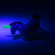 UV-reactive unicorn bowl slide for smoke-shop buyers, 14.5 mm male, horn glowing neon under blue light, low-angle left view.