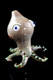 Fumed Frit Glass Octopus Pipe - AP233