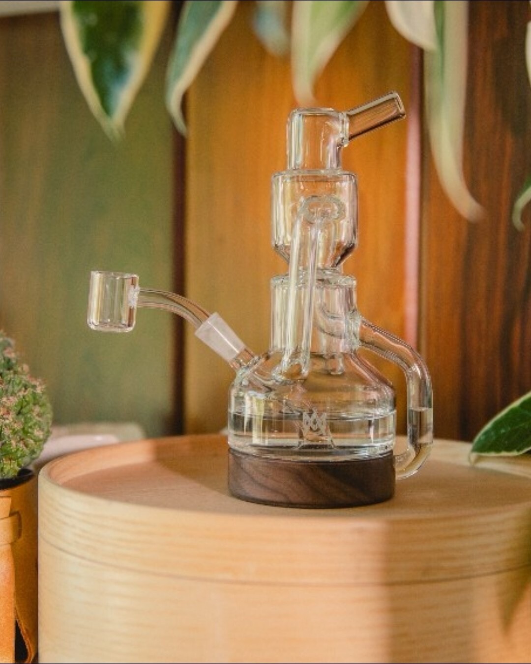 Apex Mini Dab Rig from MJ Arsenal with compact borosilicate body and black walnut accent, tall vertical angle