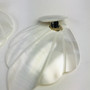 Shell White Earrings Mother of Pearl