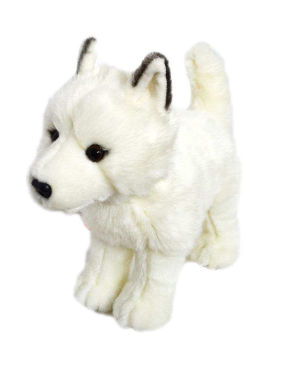 Wixom White Arctic Wolf