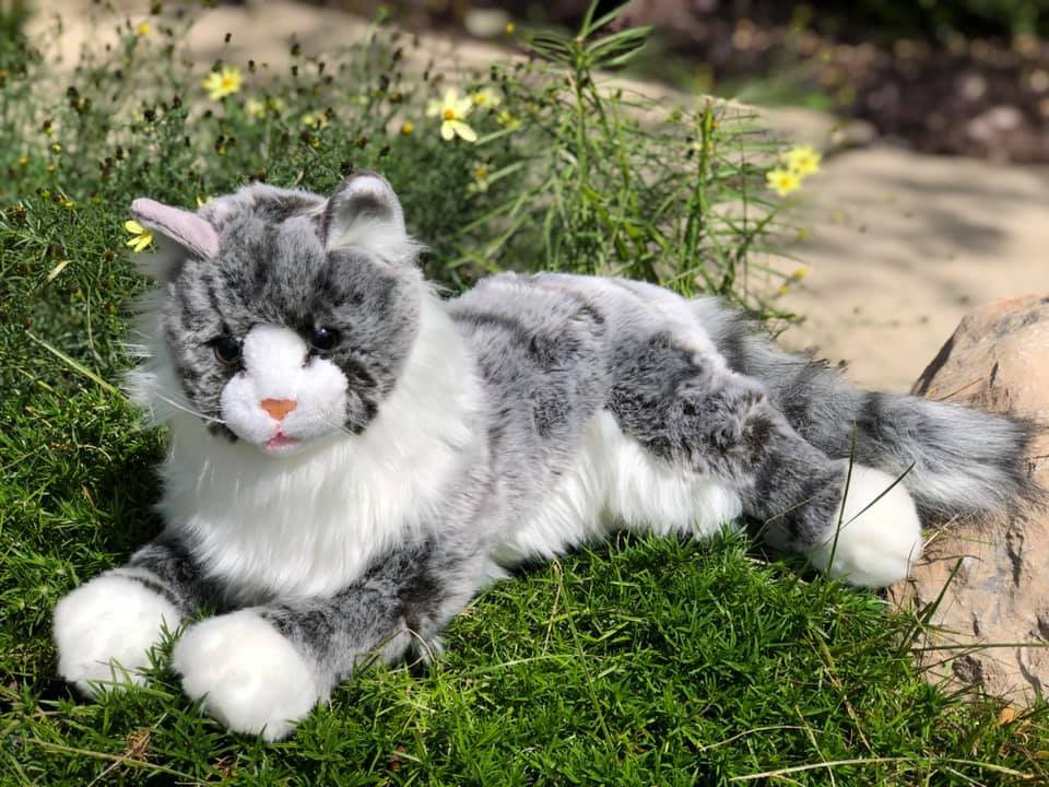 seraphina-laying-maine-coon-14-5-plush