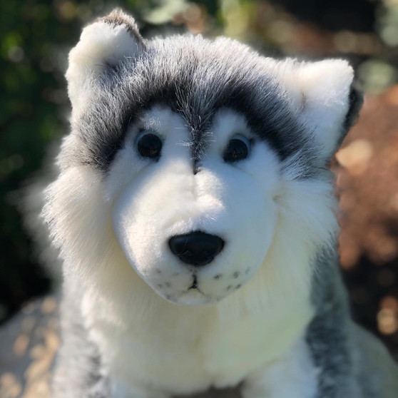 Mika 27 Inch Husky Plush Stuffed Animal  