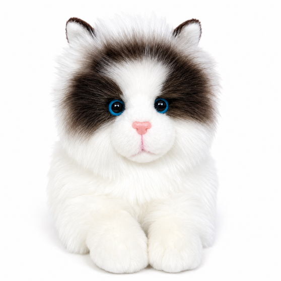 Auswella® Ragdoll Kitten Plush – Ultra-soft white and gray ragdoll kitten plush with fluffy long fur, bright blue eyes, a pink nose, and a realistic front-facing pose . A lifelike stuffed cat perfect for collectors, gifts, and animal lovers.