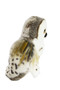 Auswella® Glacier™ Elegant Snowy Owl Plush with soft white and gray plush fur, lifelike golden eyes, detailed wings, and realistic snowy owl markings. This 12-inch premium stuffed animal is shown from the front on a clean white background, highlighting its collectible craftsmanship and cuddly design.