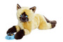 Rusty Plush Burmese Cat ©