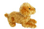 Lila Labradoodle © Plush Dog