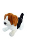 Bandit the Beagle: Your Furry Friend with Floppy Ears and a Waggly Tail