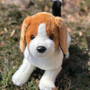 Bandit the Beagle: Your Furry Friend with Floppy Ears and a Waggly Tail