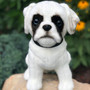 Zander the Boxer Plush Toy with White and Black Markings