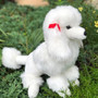 Auswella Plush Standard White Poodle Paris