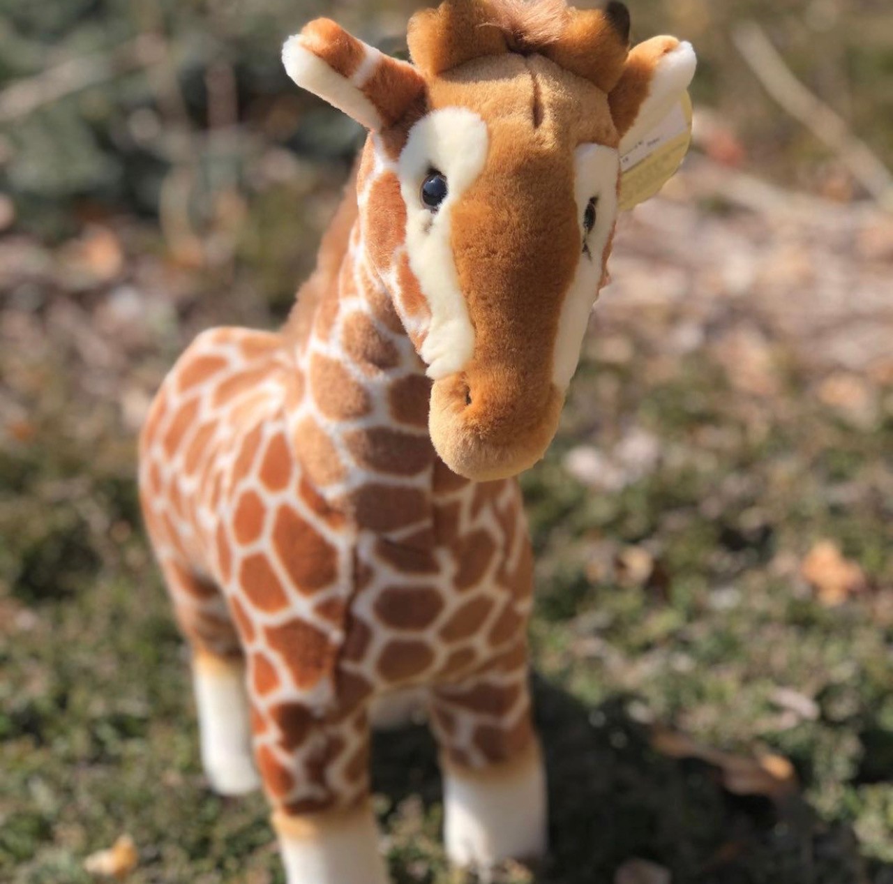 Plush & Trendy Dog Toys, Gigi Giraffe