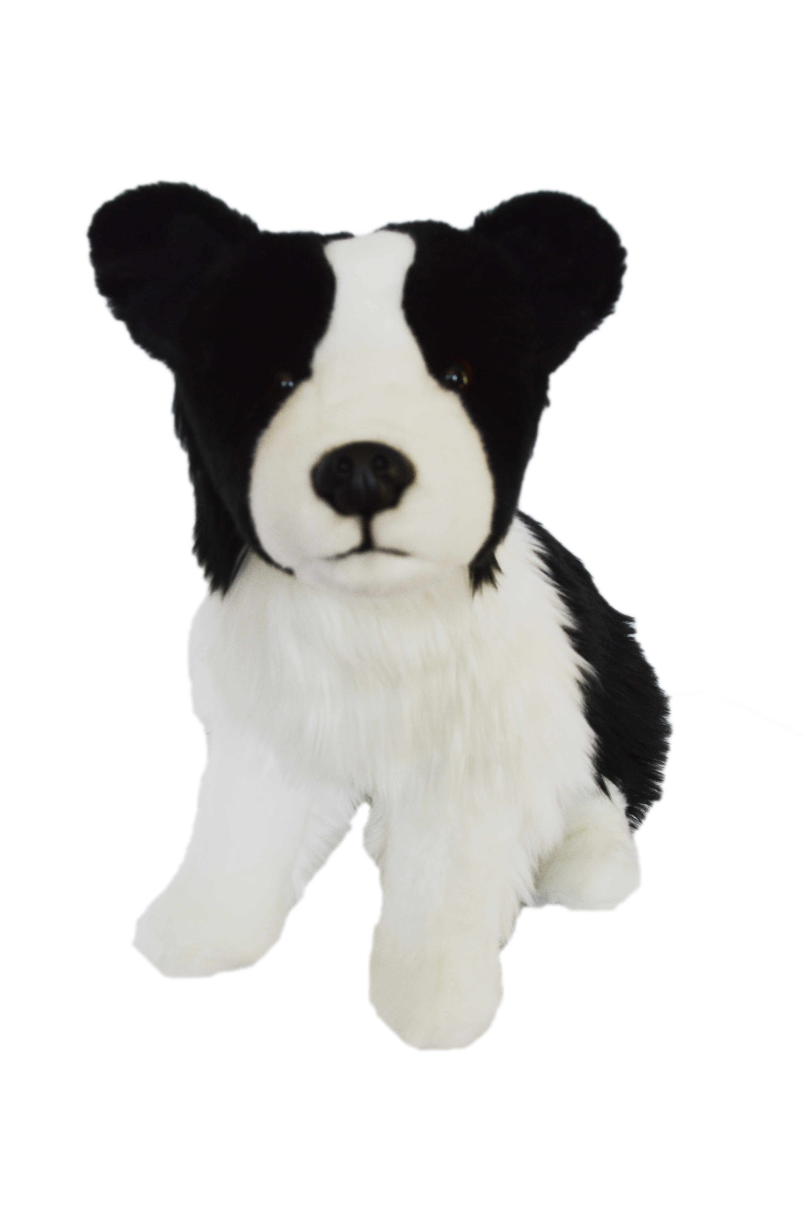 Lifesize Plush Laying Border Collie Dog – The Well Appointed House