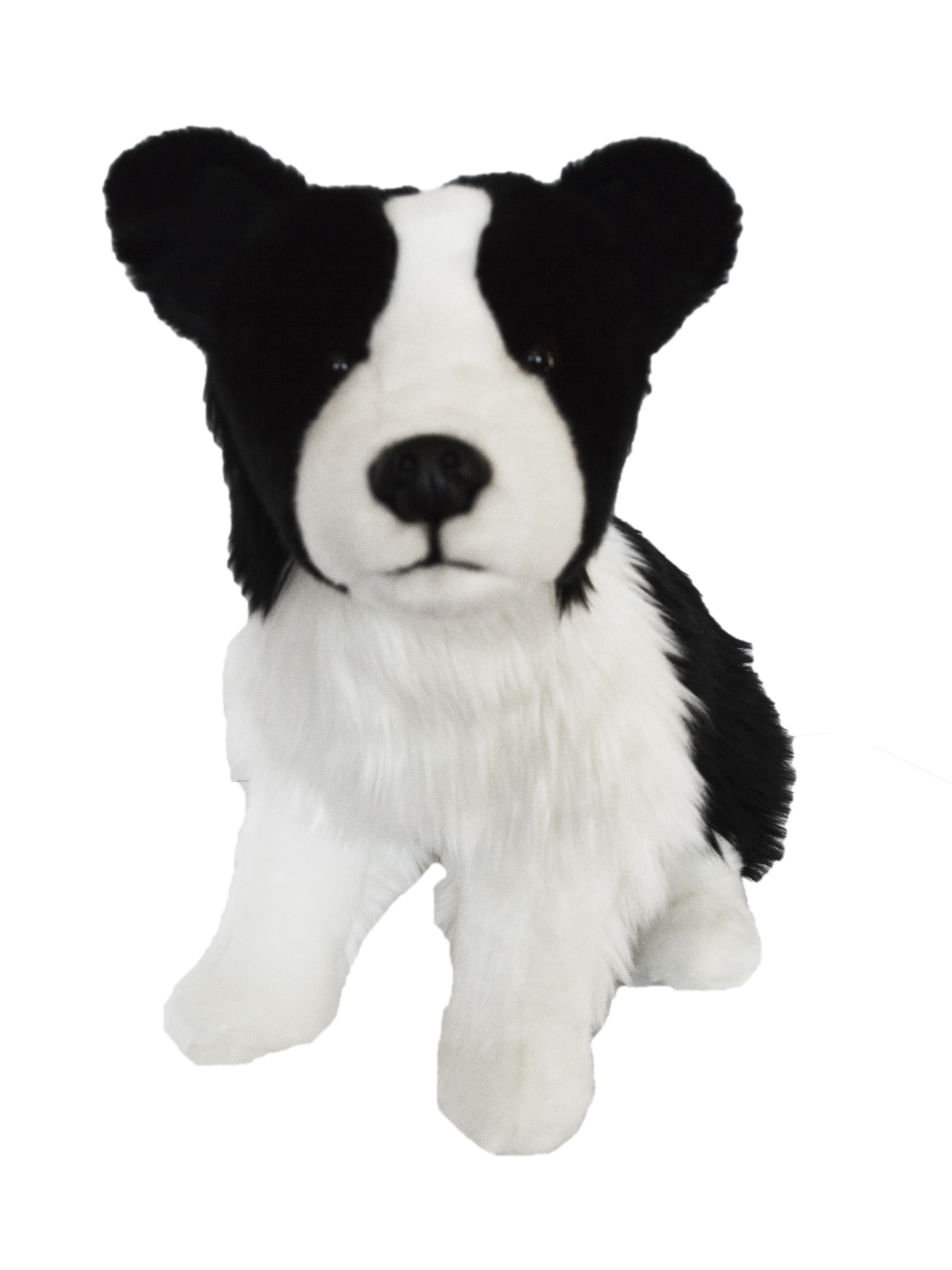 Lifesize Plush Laying Border Collie Dog – The Well Appointed House