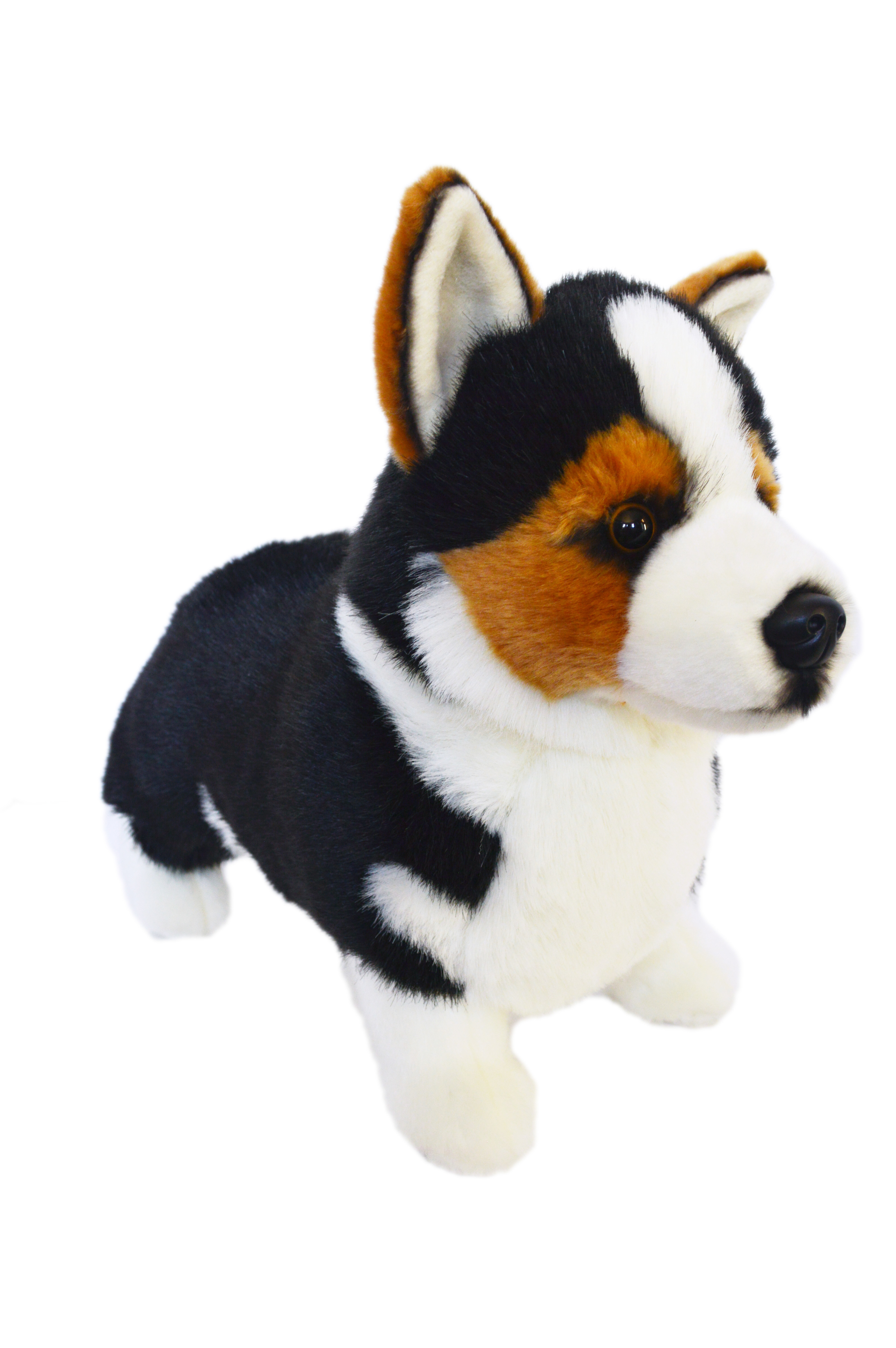 Douglas Pembroke Welsh Corgi Dog Plush Stuffed Animal 13