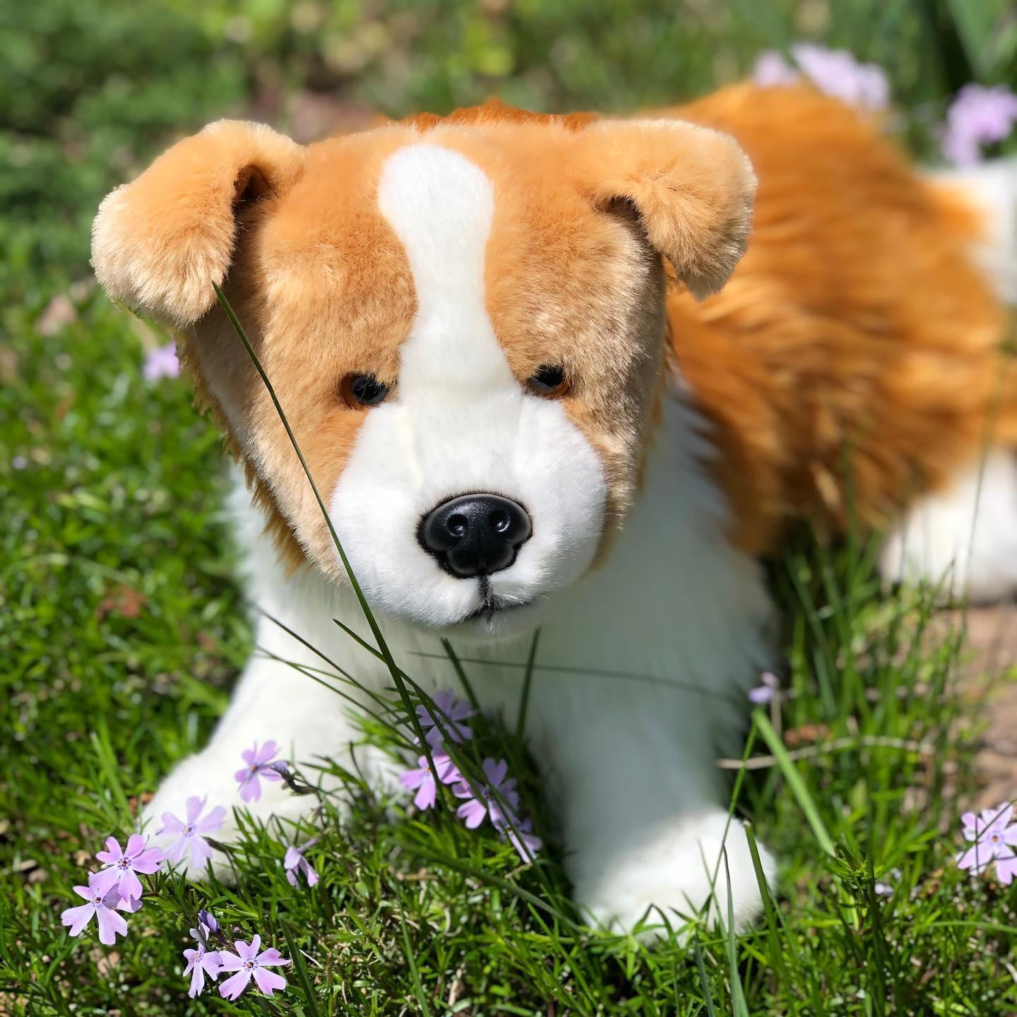 Meadow Border Collie 8 Inch - Grandrabbit's Toys in Boulder, Colorado