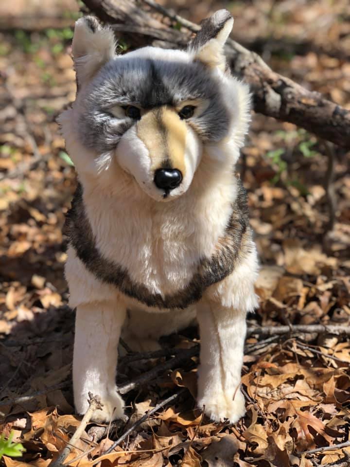 Maverick Limited Collection Standing Wolf
