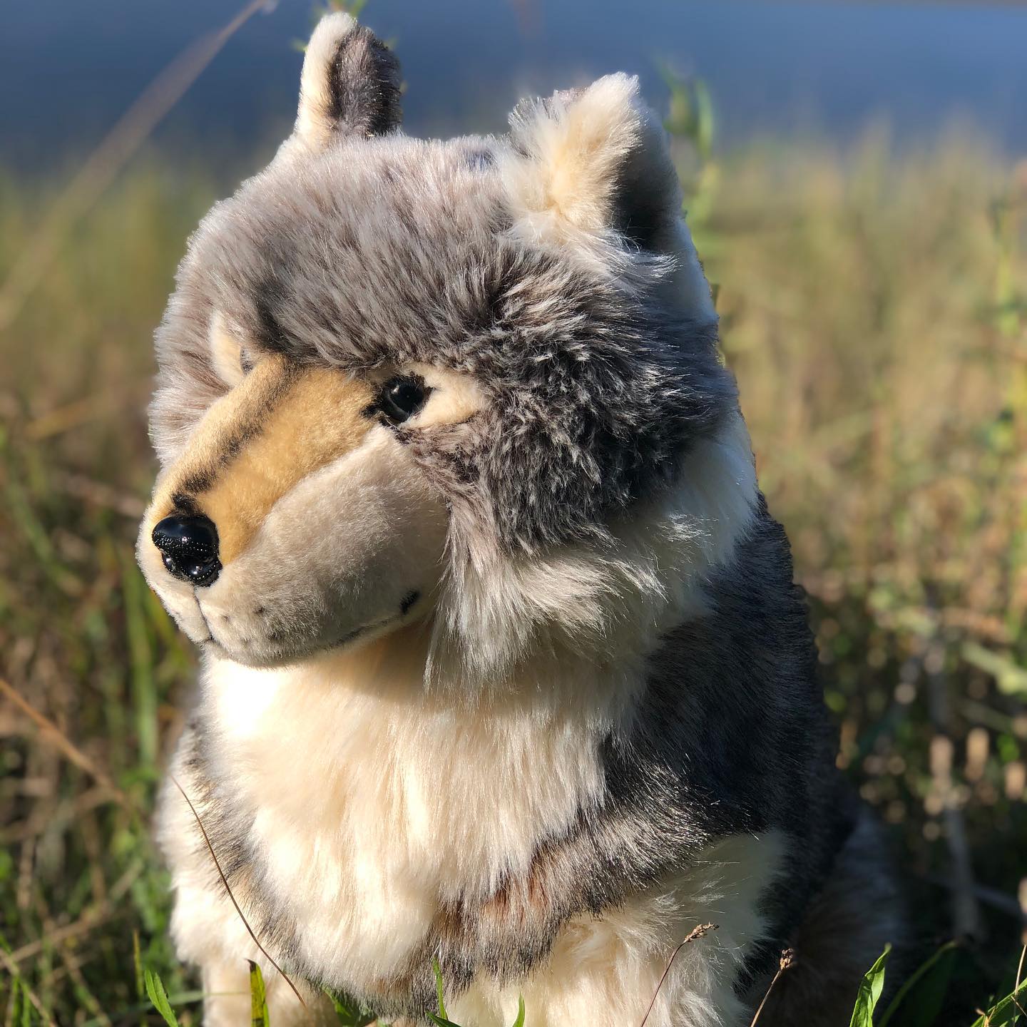 Maverick Limited Collection Standing Wolf