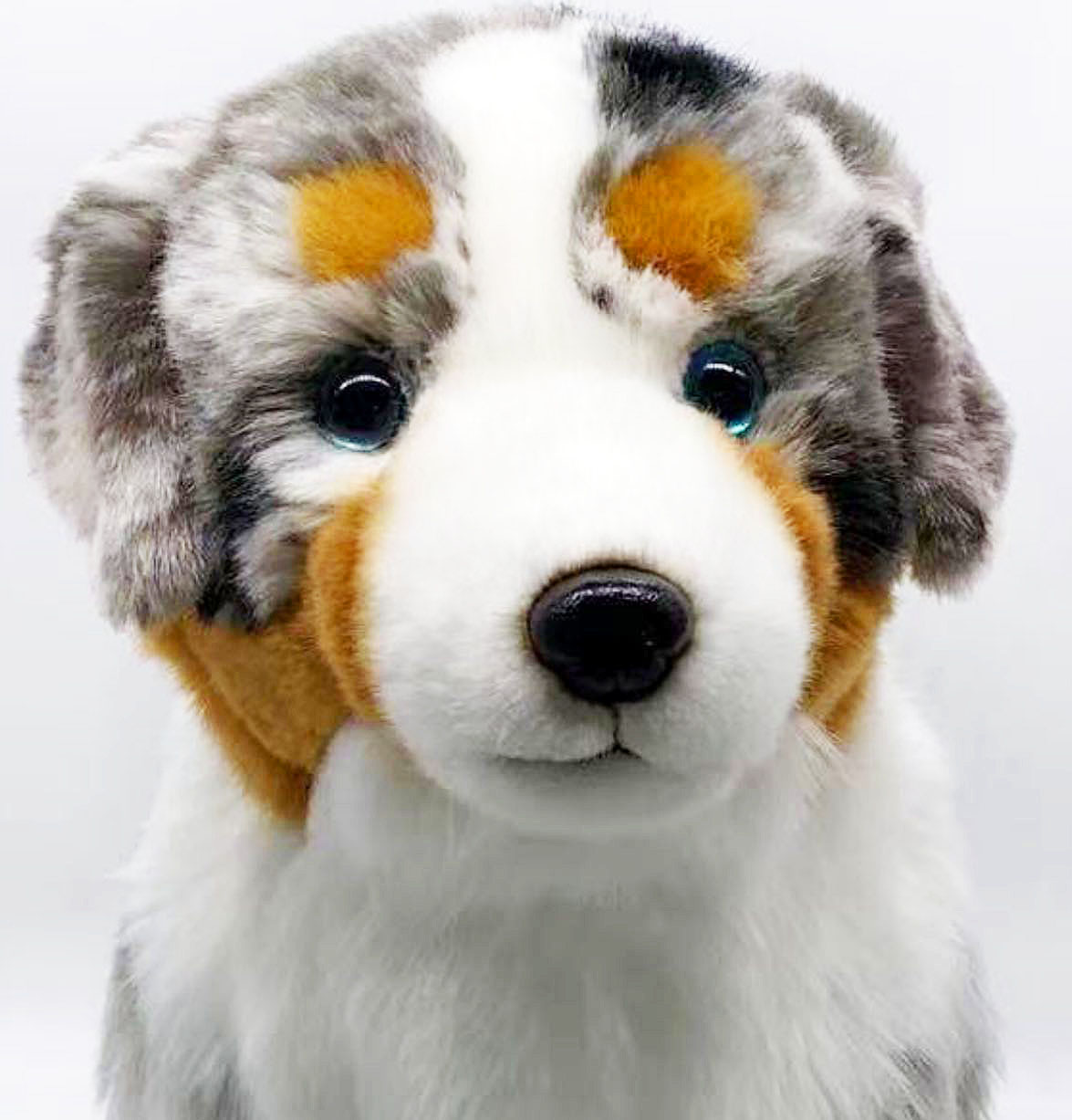 Australian Shepherd Stuffed Animal  Get Your Realistic Australian Shepherd  Plush Today  - Cuddle Clones