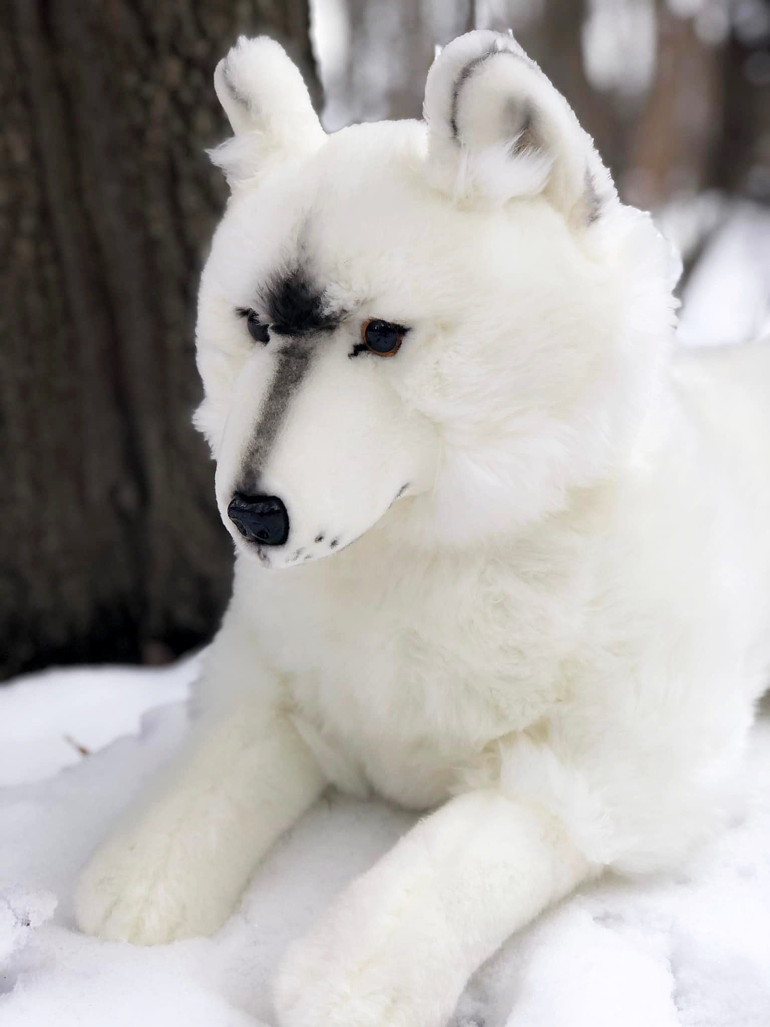 Alpha Omega Arctic Wolf White Wolf Pet Bandana for Sale by DogLifeCo