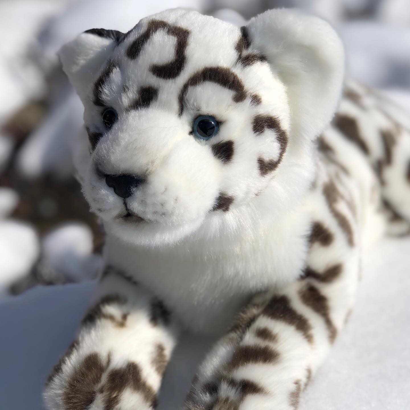 20 Inch Snow Leopard Auswella Plush®