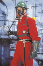 MSA 480122 Comfo® Classic® Half Mask Respirator Facepiece, Multiple Size Values Available - Each