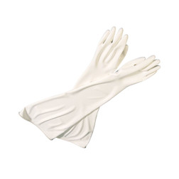 Honeywell North 10Y1532A/9Q GBG Glovebox Gloves - Sold By Each