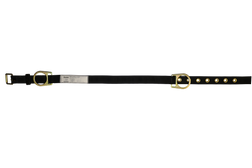 SAFEWAZE FSBELT-2D-RINGS Waist Belt, Multiple Sizes Available
