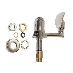 Haws 5017LF Chrome Plated Polished Brass Self Closing Drinking Faucet