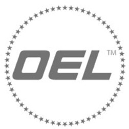 OEL AFW019REP Polycarbonate Replacement Shield - Each