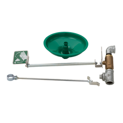 Haws AXION® MSR 8111FP Wall Mount Freeze Protected Drench Shower