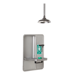 Haws AXION® MSR 8356WCC Wall Mount Combination Barrier Free Recessed Shower & Eye/Face Wash Station