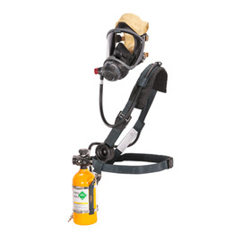MSA 10167678 Full Face Air Purifying Respirator - Each