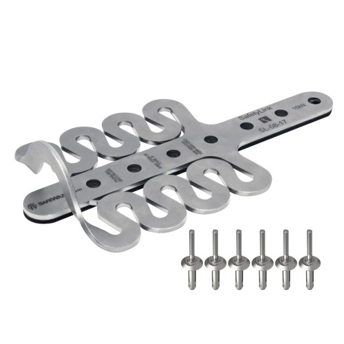 SAFEWAZE FrogLink Permanent Roof Anchor with Rivets (019-4006)