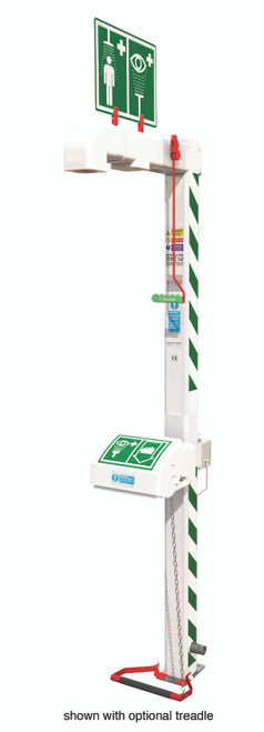 Floor Mounted Freeze-Protected Safety Shower with Eye/Face Wash and Galvanized Pipe (240V)