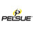 Pelsue 501082-S04 Pole Assembly, Multiple Length Values Available - Each
