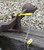 Aldon 4024-303 Safety Hook for Switch Stands