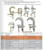 catalog page