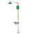 Haws AXION® MSR 8309WC Floor Mount Combination Shower & Eye/Face Wash Station