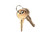 Justrite 25999 Lever Replacement Key - Each