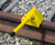 Aldon Spark-Proof Urethane Heavy Duty Single Wheel Chock, 4011-42 exposed rail