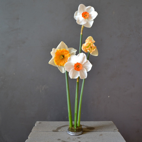 daffodils-in-small-kenzan