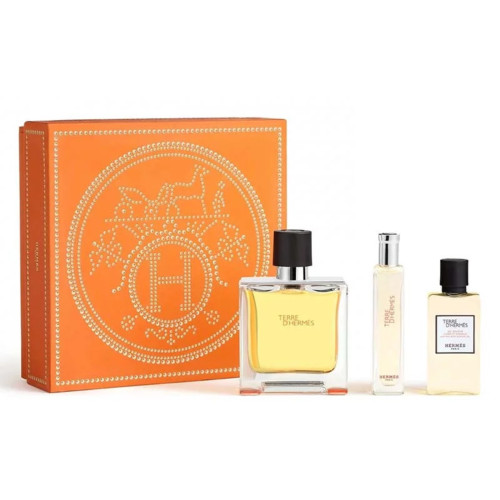 TERRE D'HERMES 3 PCS SET FOR MEN: 2.5 PARFUM SPRAY + 0.5 PARFUM SPRAY + 1.35 HAIR AND BODY SHOWER GEL