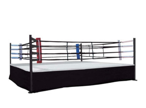 Professional Boxing Ring Includes All of the Following:

Full Heavy Gauge All Steel Frame
4 Heavy Gauge Steel Corner Posts
4 Professional Ring Corner Cushions (Black)
4 Regulation Ring Ropes and Rope Covers (Black)
16 Professional Adjustable Turnbuckles
16 Turnbuckle Covers (Black)
Set of 8 Professional Ring Rope Spacers
Professional Boxing Approved Ring Padding
Heavy Gauge Canvas Ring Cover (Black)
Full Length Broadcloth Ring Skirt (Black)
8 Rope Clamps, 16 Rope Retainer Rings
You can choose your own color combinations
Professional Plywood Platforms Included 
All Assembly Hardware
MADE IN USA
Alternate Accessory Color Options Available, Contact Us For Details